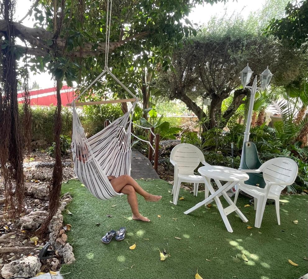 Habitacion Agregada, Suite Frente A La Piscina 2 P Habitacion No Casa Completa San Vicente Raspeig Eksteriør bilde